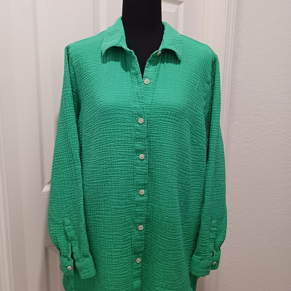 J Jill Green Button Down Long Sleeve Shirt EUC Size Large Petite